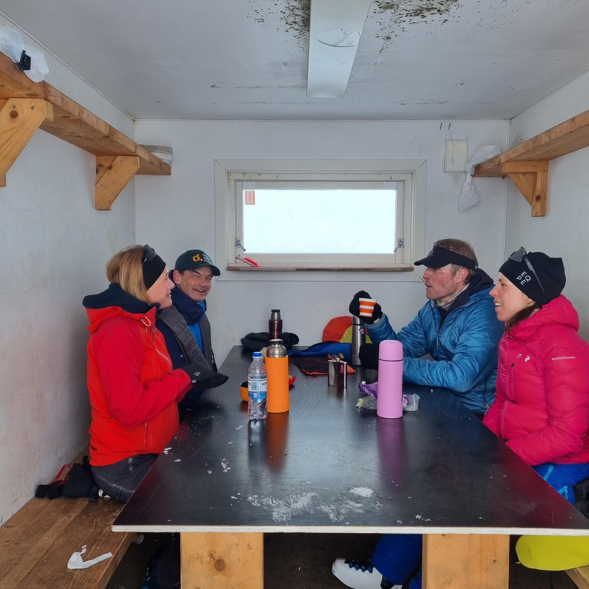 Från vänster: Lotta Dizengremel, Anders Enetjärn, Erik Huss, Charlotte Kalla.