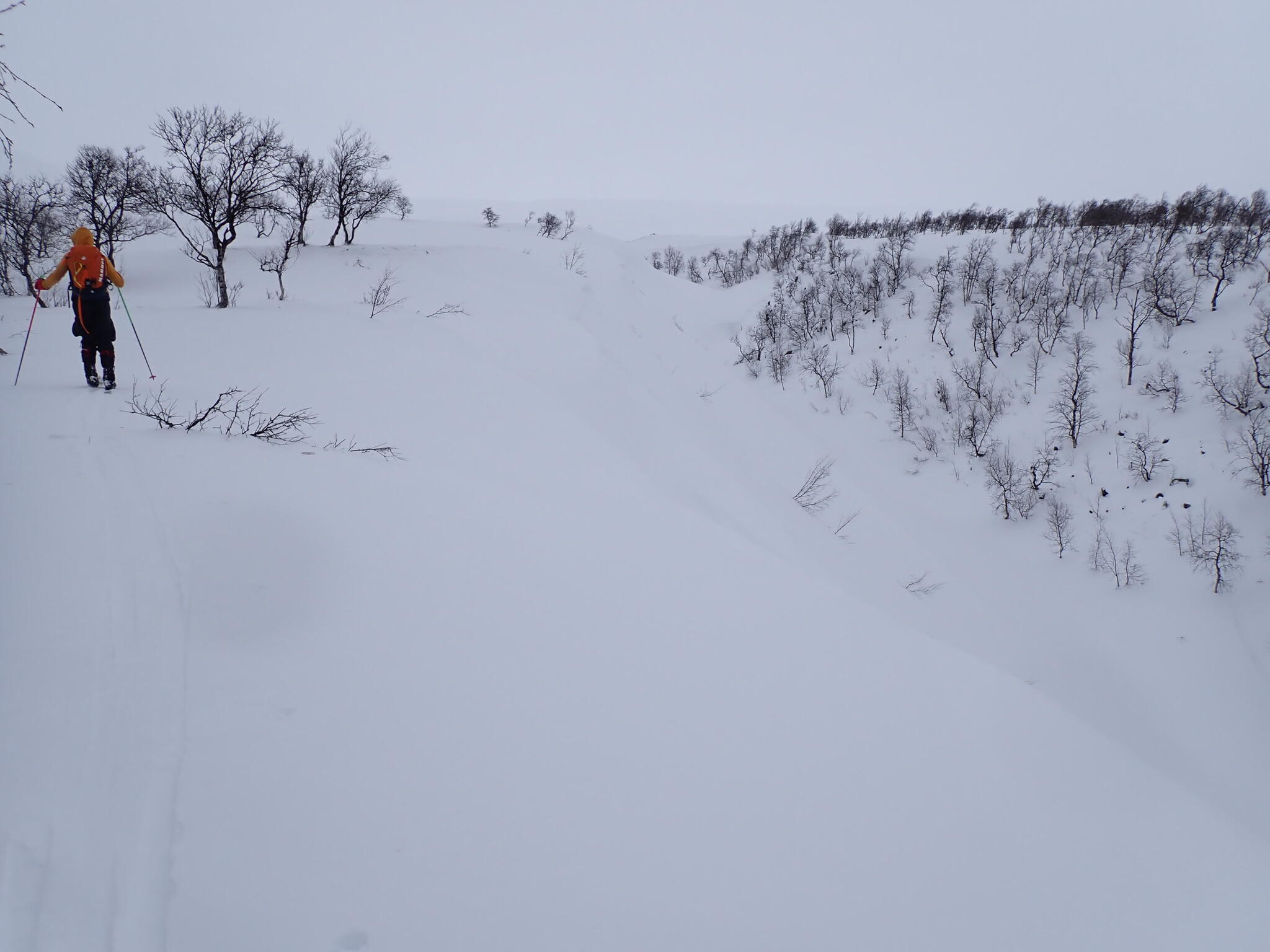 När vi kommit upp på plattån vid kalfjället imponerades vi av en djup ravin.
