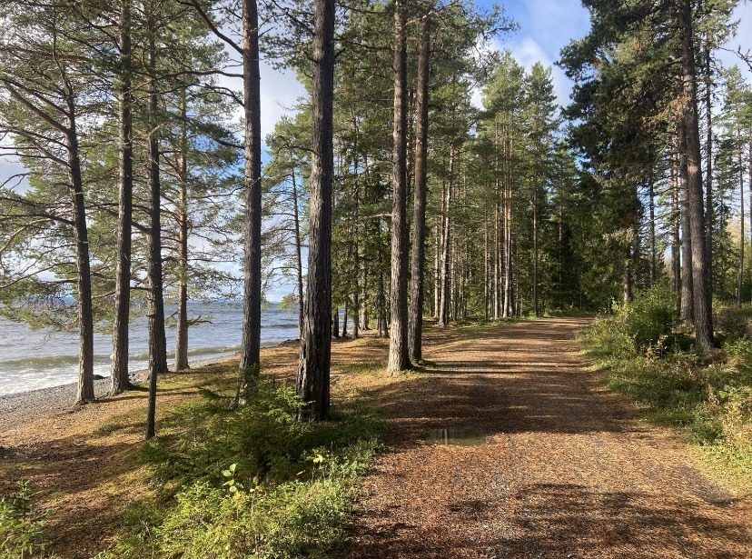 Här var det fint att springa på Rödön.