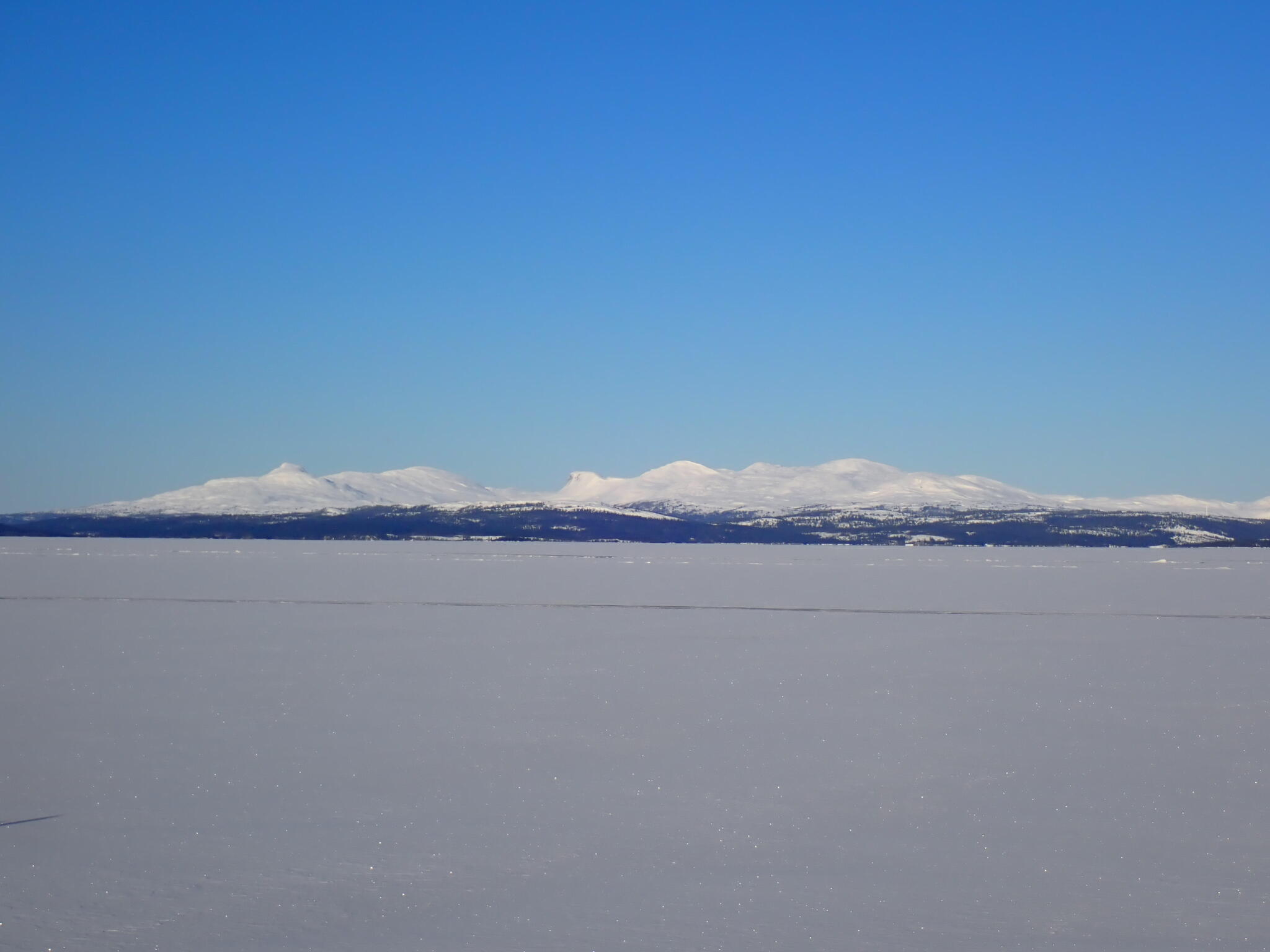 Skäckerfjällen såg vi mycket av denna dag.