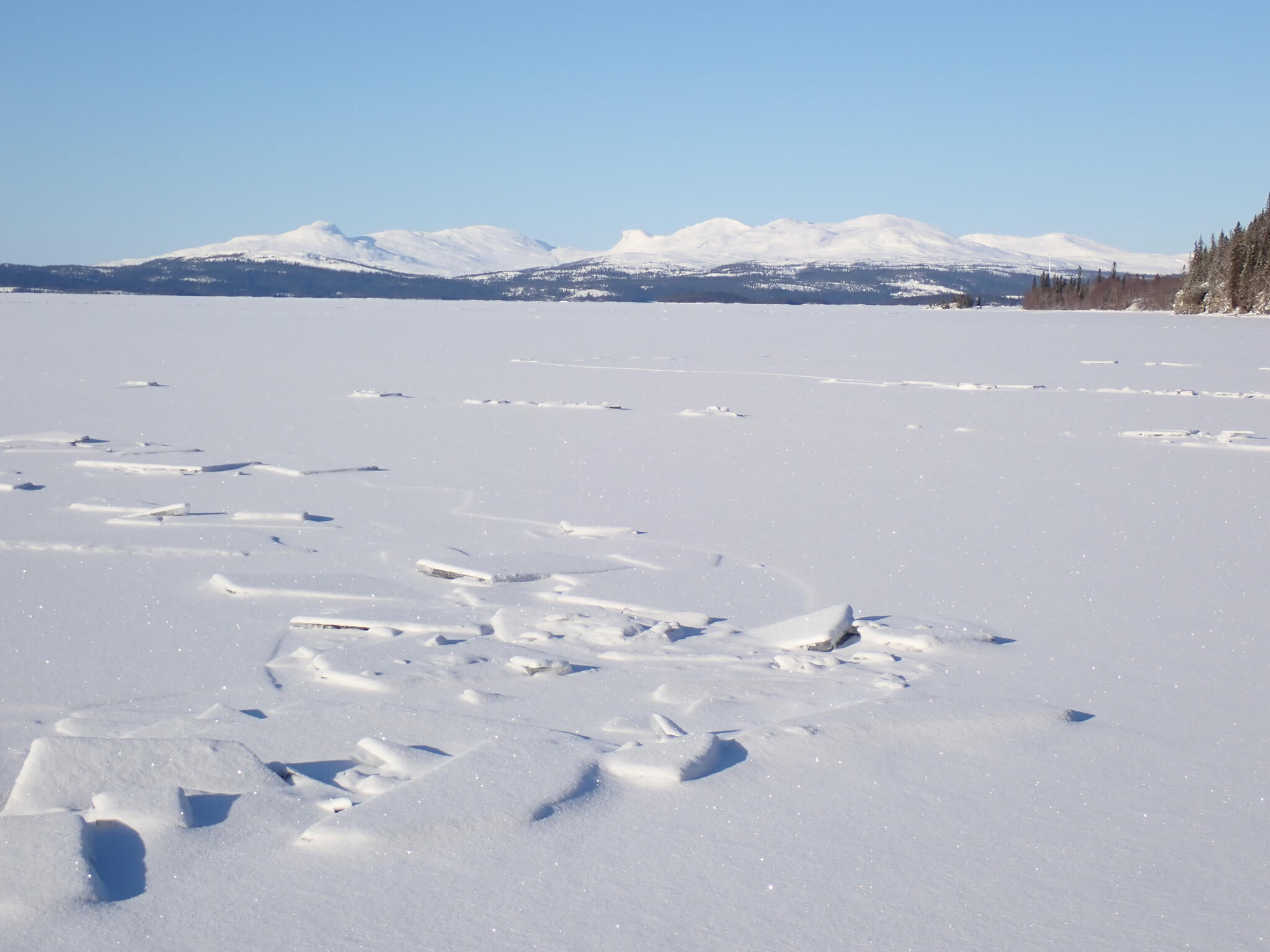 Råkar med flak ringlar som ormar över isen.