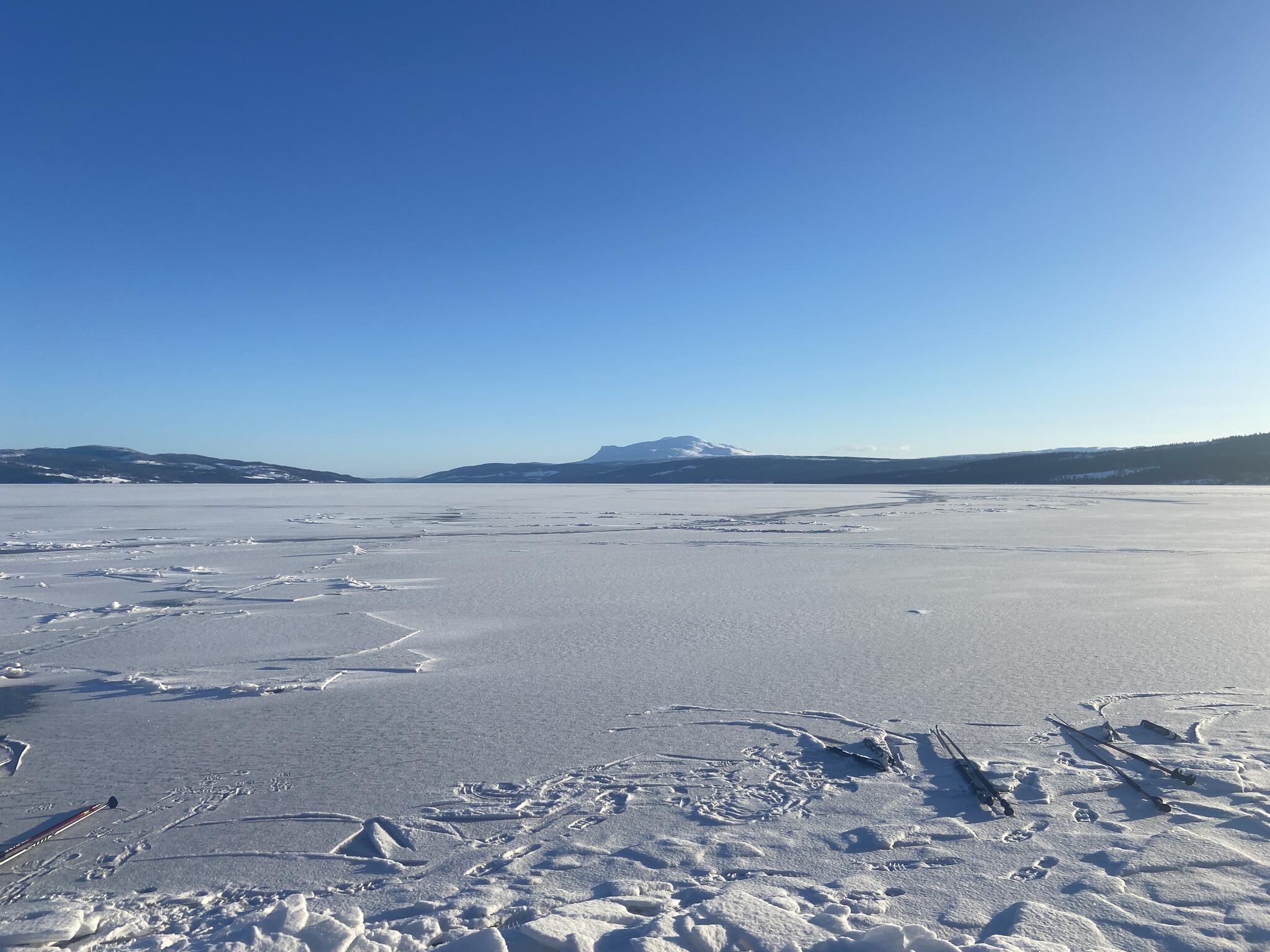 Utsikt från plats för eftermiddagsfikat.
