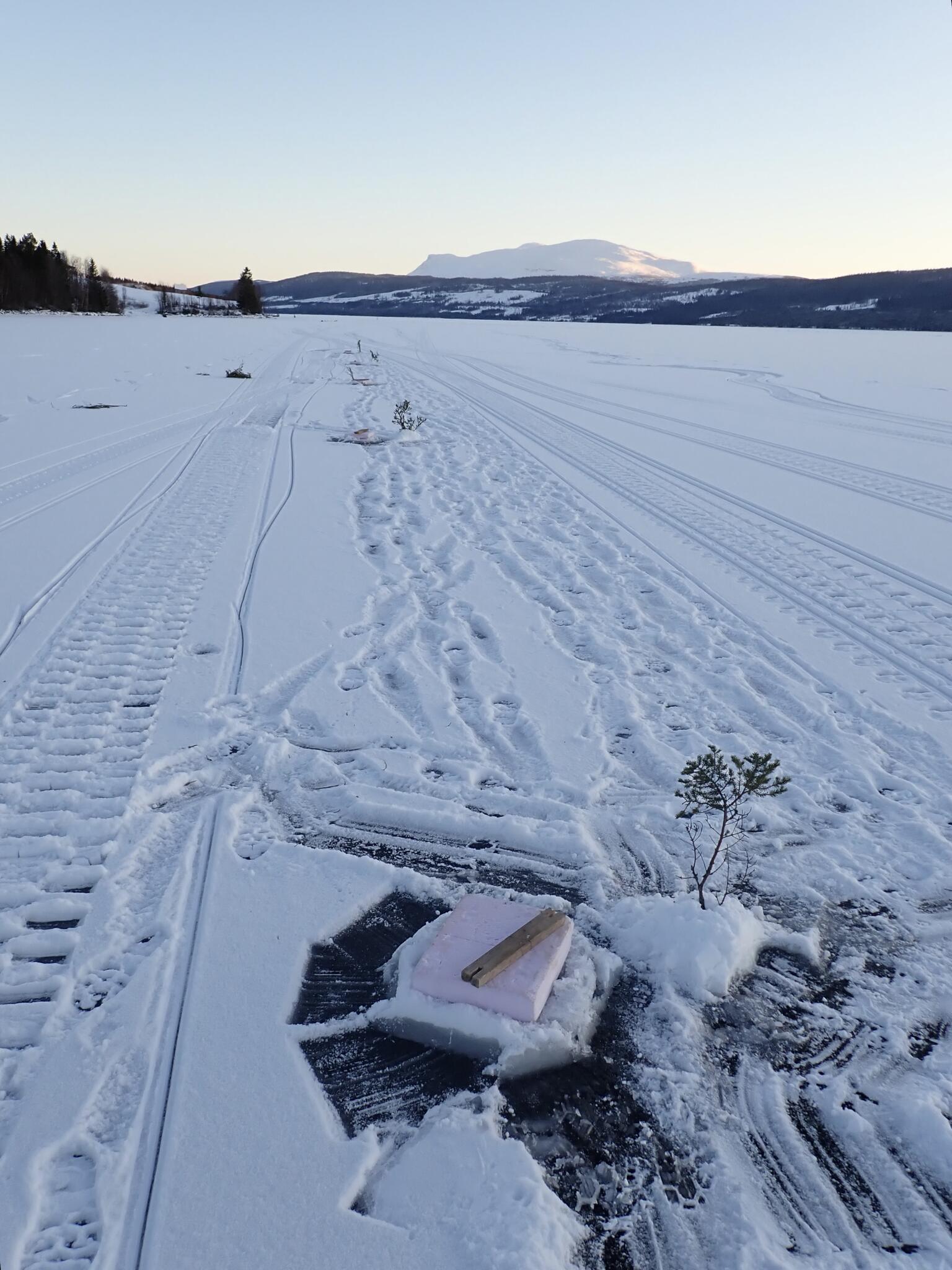 Fiske pågår.