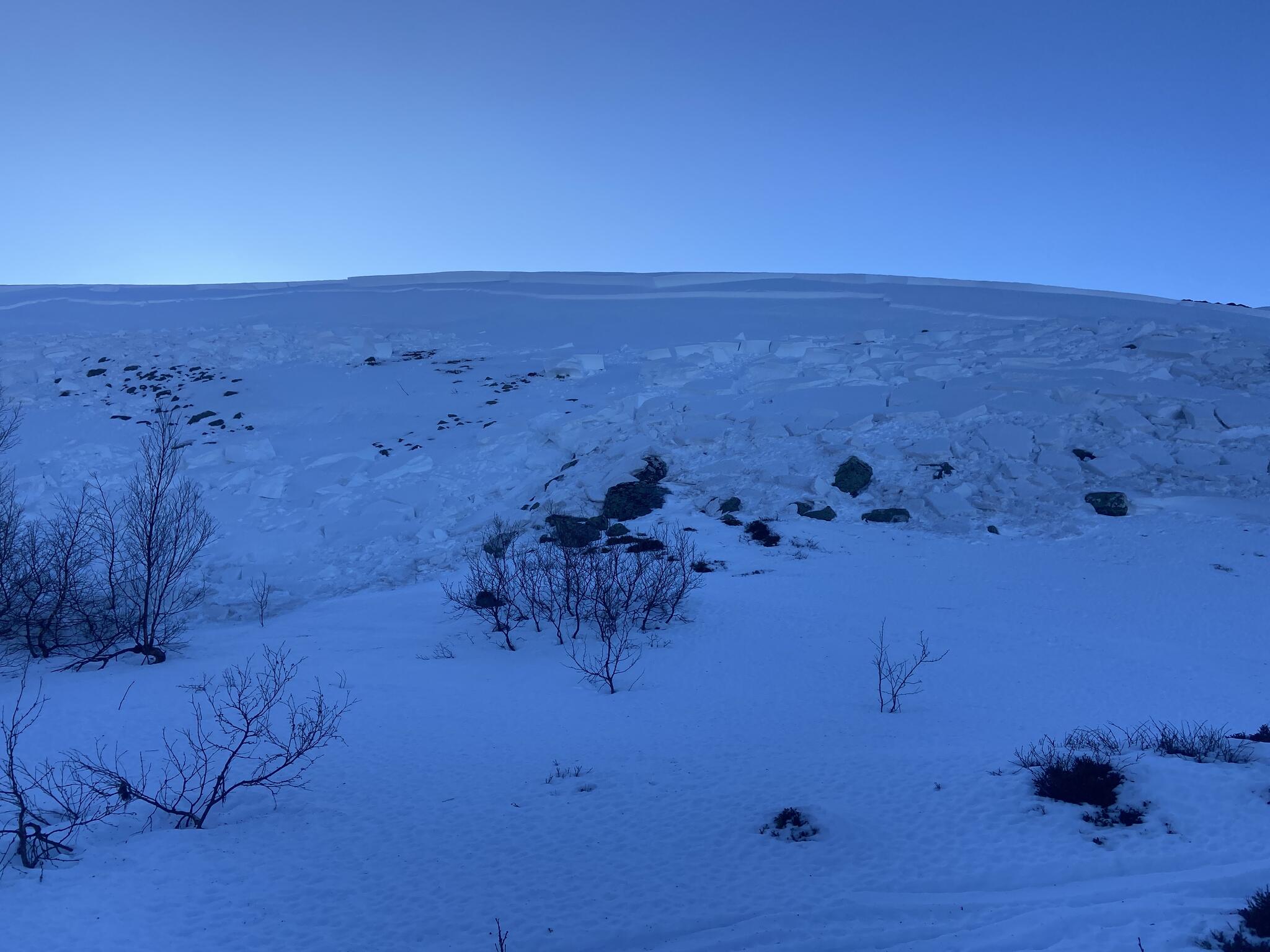En flaklavin hade gått i dalen.