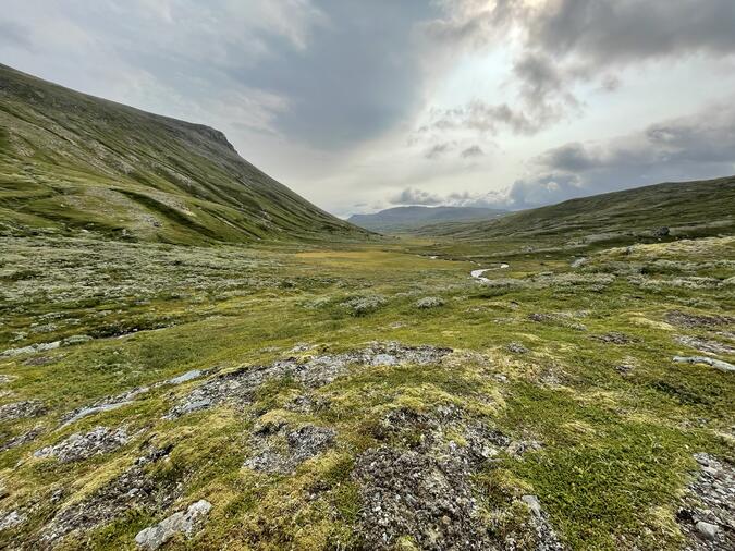 Nere i Östra Bunnerskalet