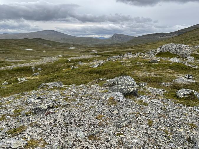 Gåsen och Tjallingklumpen