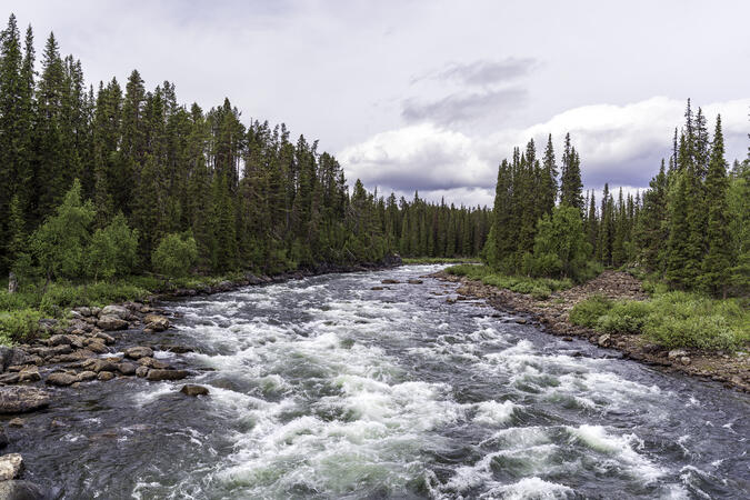 Vy norrut från bron över Sijddoädno (Sitoälven).