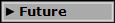  Future