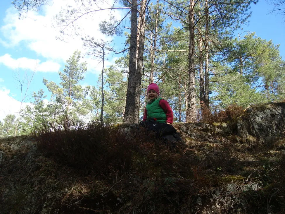 Klicka för att förstora