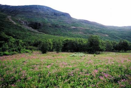 Tarradalen Tarradalen