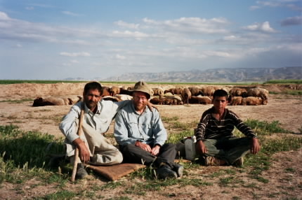 Herde i Iran Herde i Iran