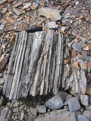 bild14 bild14