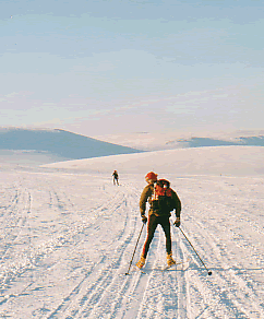 Kalfjäll Kalfjäll