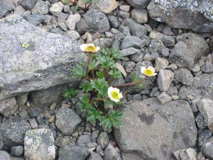 bild16 bild16