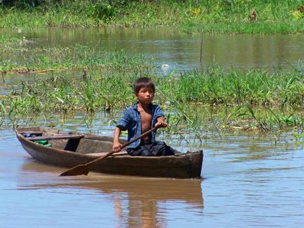 amazonas amazonas
