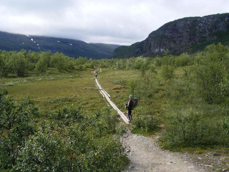 På väg mot fjällstationen