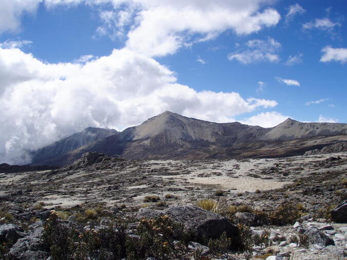 Pan de Azucar