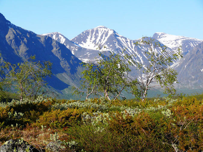 Sarvesvágge är ett område som jag är helt betagen av