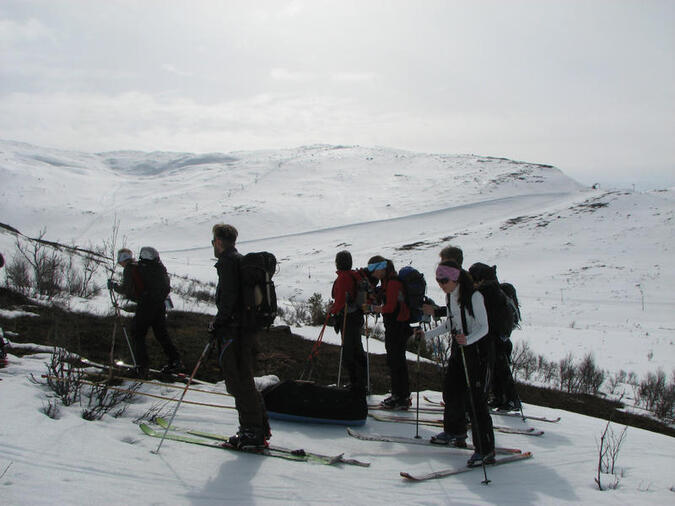 Pulkförankring