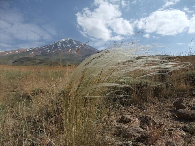 Damavand