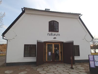 P3300055