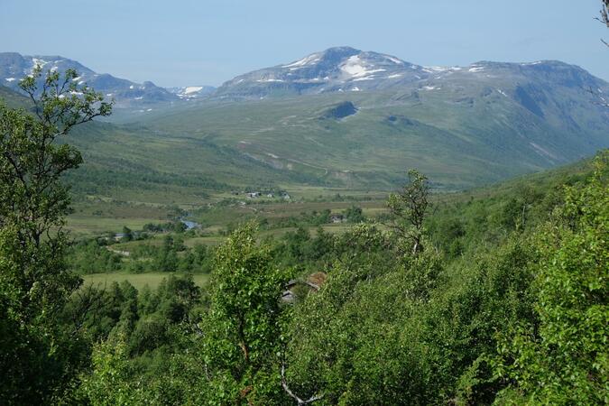 Svartådalen med Geithetta i bakgrunden