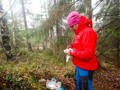 Geocaching Baljåsen