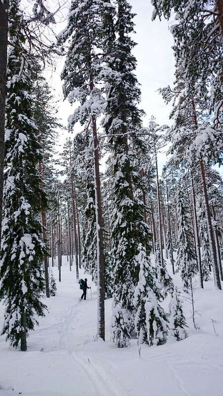 Daniel Vilhelmsson skidar