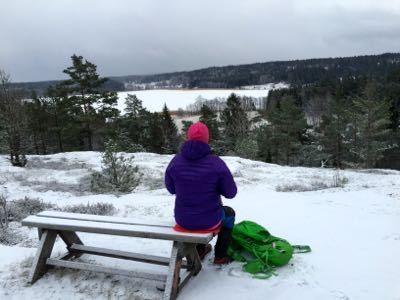 Rundbosjön