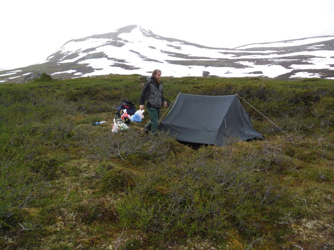 Knölig tältplats