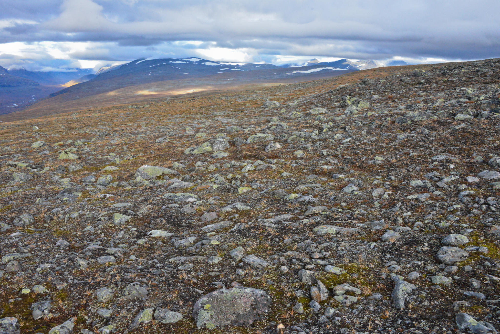 Mjuka kullar, platt och lättgånget