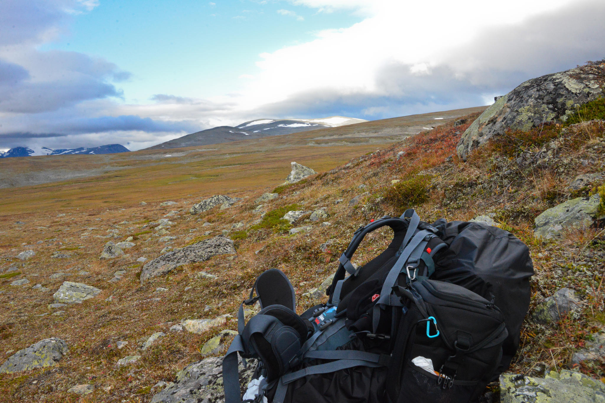 Paus under tillfälligt blå himmel