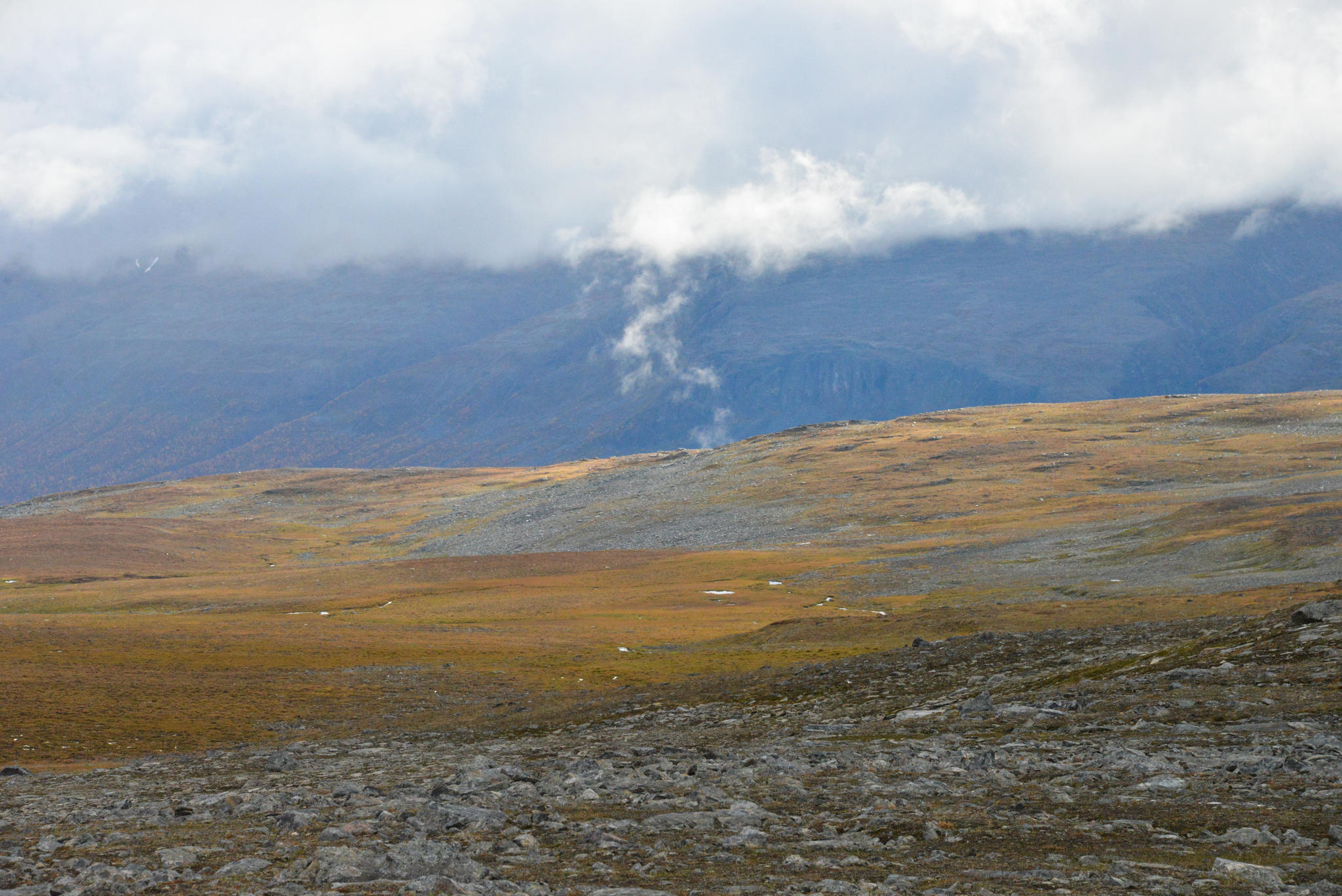 Nån som grillar i Vistas?