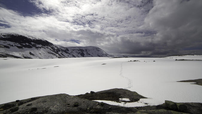 Västligaste Padjelanta på cirka 730 meters höjd den 19:e juni 2015. Sommartemperatur men vinterväglag.