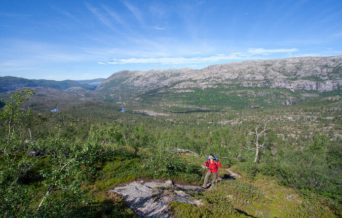 320 meters stigning efter Storskogvatnet - 29:e juli 2010.