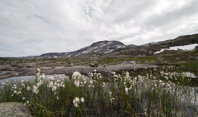 Leden cirka 2 km från Ragohytta - 10:e augusti 2015.