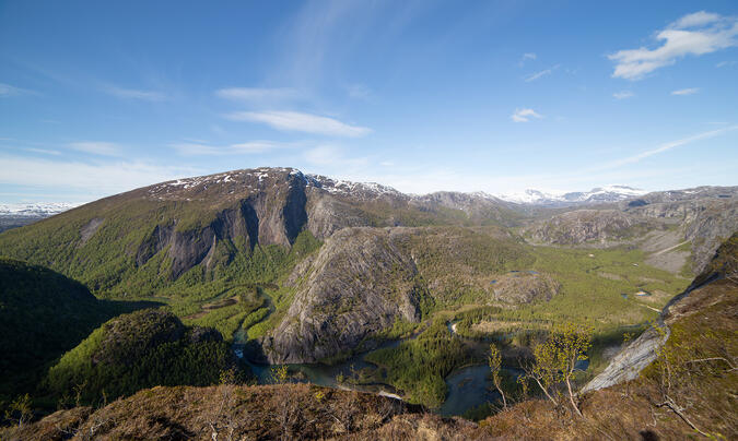 Storskogdalen med Gråfjellet (712) i bakgrunden - 2015-06-21 kl. 17:11.