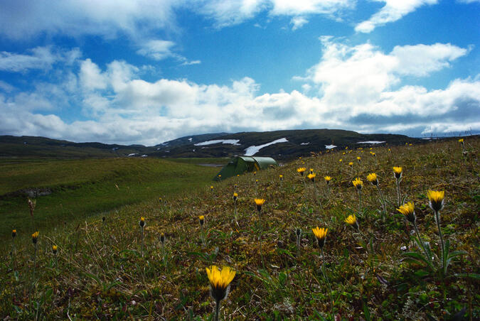 Samma tältplats i augusti år 2000.