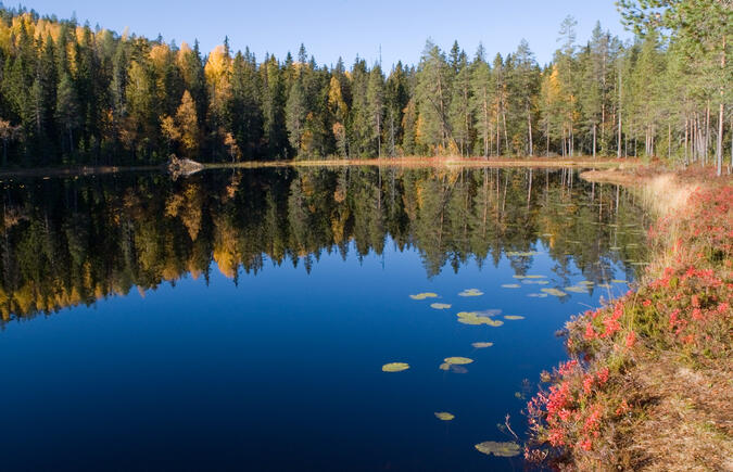 Inneraborrtjärn.