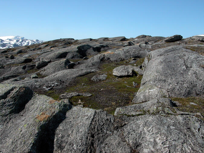 Spår efter inlandsisen söder om Rágojiegna. 2003-07-01 kl. 10:31.