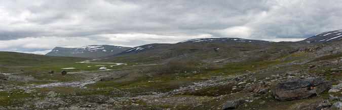 Renvaktarstuga vid Rähtjatjåhkå med Stibok i bakgrunden.