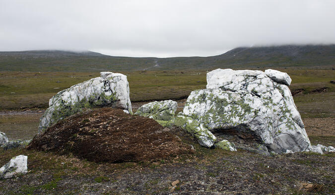 Stora vita stenar låg utspridda längs räta linjer.