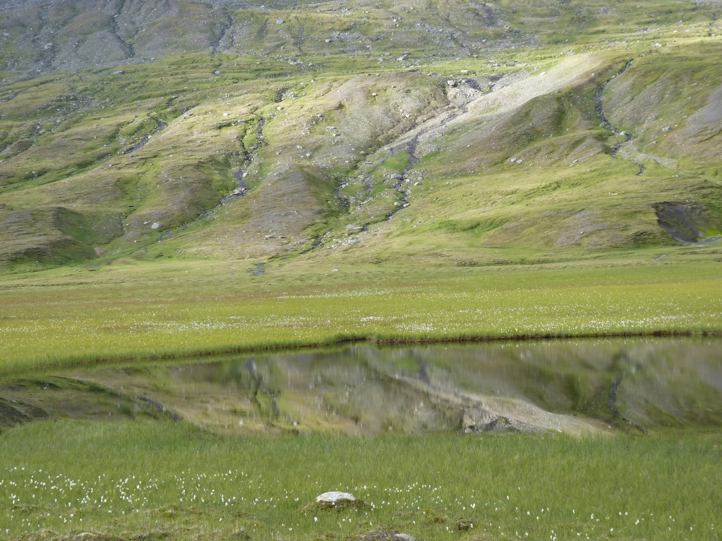 Spegling i en av de små sjöarna nedanför Násasvágge.
