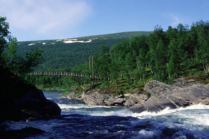 Rävfallet, Vindelälven