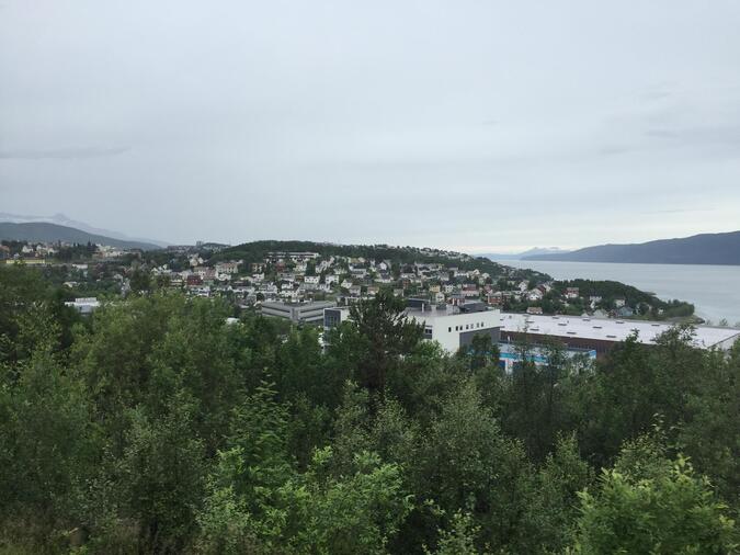 Narvik