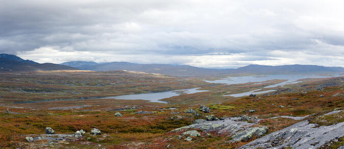 Utsikt från Nordkalottleden mot västra delen av Sårgåjávrre.