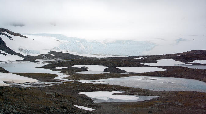 Isfronten vid Kokedalsglaciären.