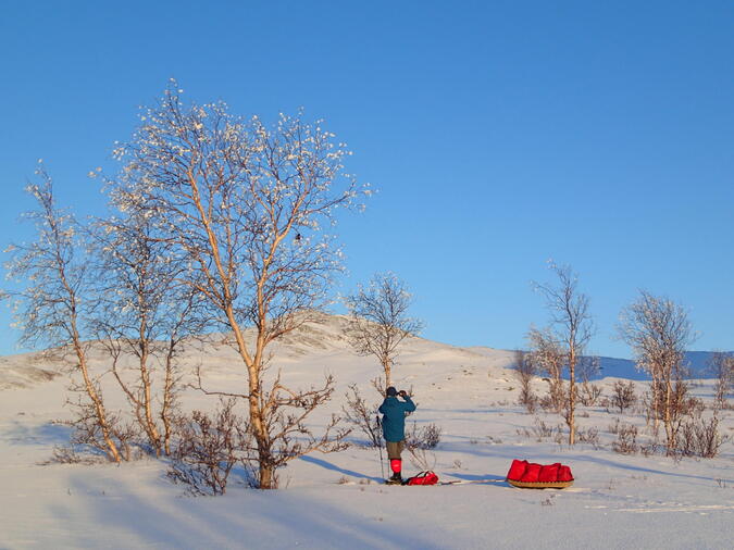 Någon hade påskpyntat med vita tussar i träden där vi skulle tälta. Så snällt. 