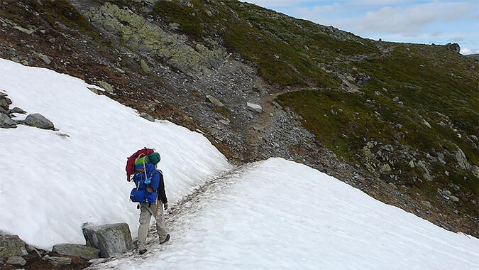 Glaciärvandring