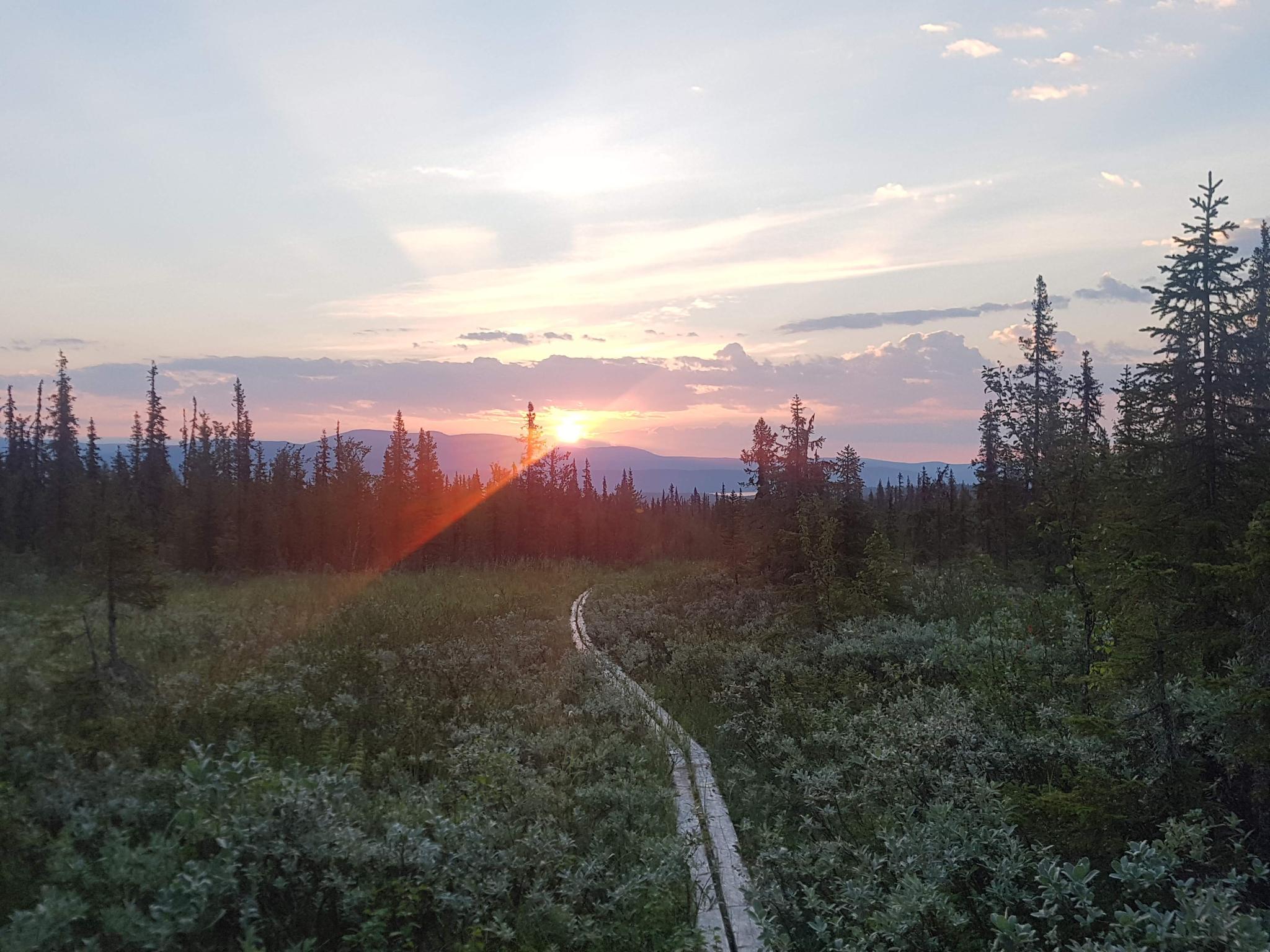 Nattsol över bergen i norr